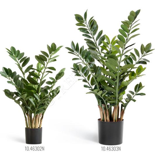 TREEZ Замиокулькас кустовой 90 см