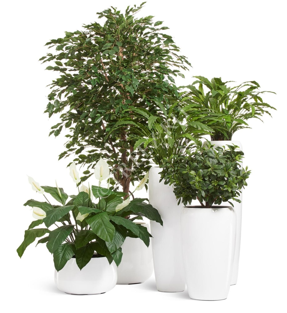 Кашпо TREEZ Effectory - Gloss - Высокий конус Design - Белый глянцевый лак