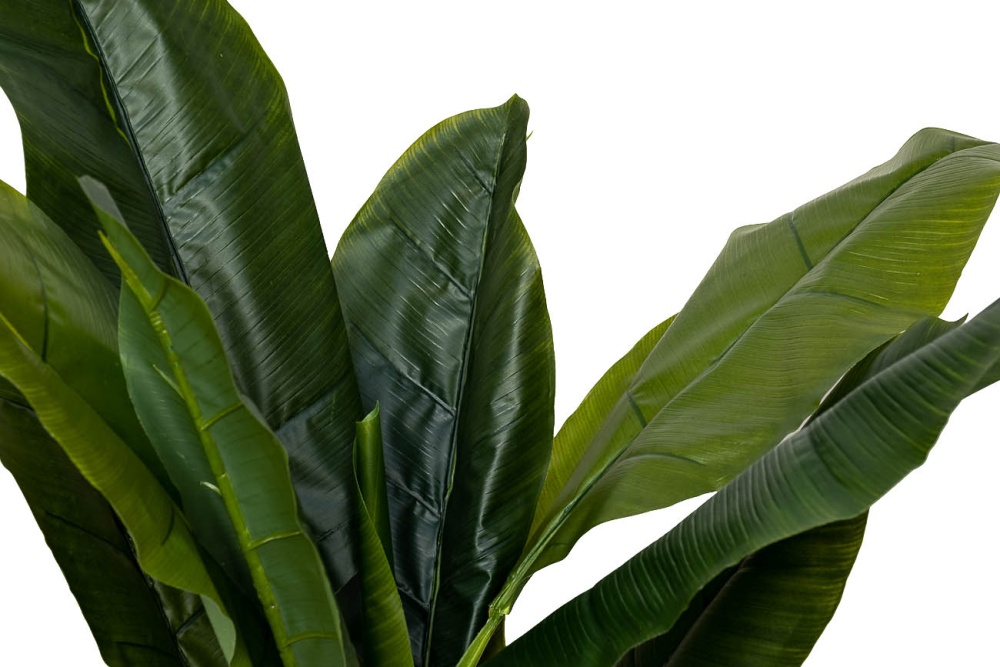 Банановый куст h135 см